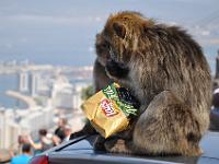 Gibraltar