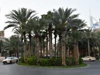CHR 1226 : Kreuzfahrt, Urlaub, Dubai mit Katar & Oman mit Mein Schiff 5