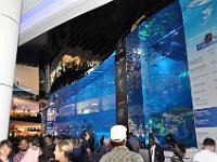 MAR 0047 : Urlaub, Dubai mit Katar & Oman mit Mein Schiff 5, Kreuzfahrt