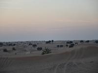 CHR 2158 : Dubai mit Katar & Oman mit Mein Schiff 5, Dubai, Urlaub, Kreuzfahrt