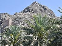 CHR 3244 : Kreuzfahrt, Urlaub, Dubai mit Katar & Oman mit Mein Schiff 5