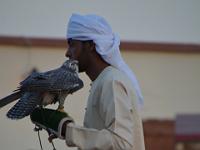 MIC 0183 : Dubai mit Katar & Oman mit Mein Schiff 5, Dubai, Urlaub, Kreuzfahrt