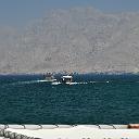 CHR_2441