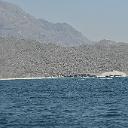 CHR_2447
