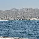 CHR_2450