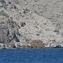 CHR_2566