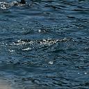 CHR_2583