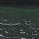CHR_2594