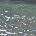 CHR_2596
