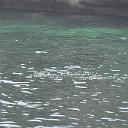 CHR_2597