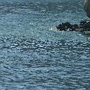 CHR_2599