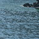 CHR_2600