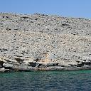 CHR_2630