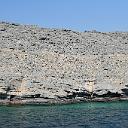 CHR_2633