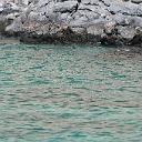 CHR_2661