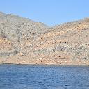 CHR_2686