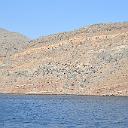 CHR_2687