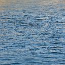 CHR_2785