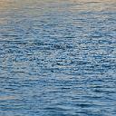 CHR_2786