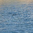 CHR_2787
