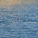 CHR_2789