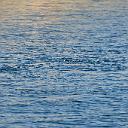 CHR_2790