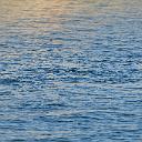CHR_2791