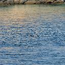 CHR_2794