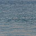 CHR_2819
