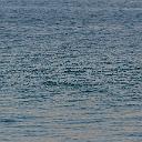 CHR_2820