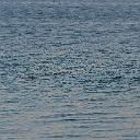 CHR_2821