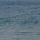 CHR_2824