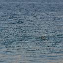 CHR_2828
