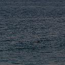 CHR_2832