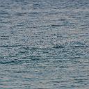 CHR_2834