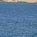 CHR_2841