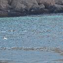 CHR_2856