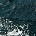 CHR_2859