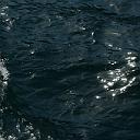 CHR_2864