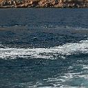 CHR_2867
