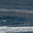 CHR_2874