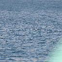 CHR_2888