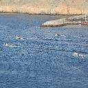 CHR_2935