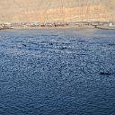 CHR_2938