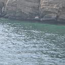 MAR_0906