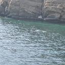 MAR_0907