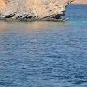 MAR_0944