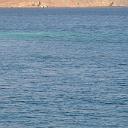 MAR_0950