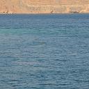 MAR_0952
