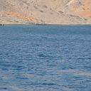 MAR_0961